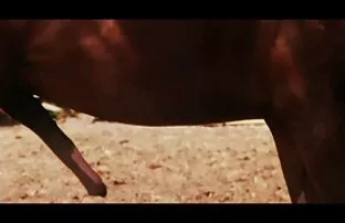 XXX تنظيف المهبل افلام ساخنه فرنسي ماندي