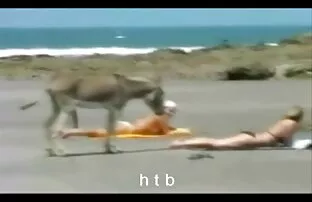 XXX زن اغواگر جوان عاطفی سكس أجنبي ساخن