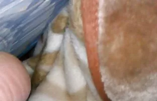 XXX البحث اللعين لائق صورسكسي ساخن